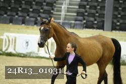 24R13_01931 thumbnail