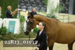 24R13_01932 thumbnail