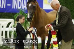 24R13_01933 thumbnail
