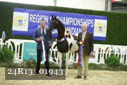 24R13_01943 thumbnail