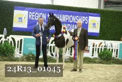 24R13_01945 thumbnail