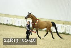 24R13_01946 thumbnail