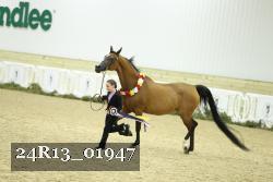 24R13_01947 thumbnail