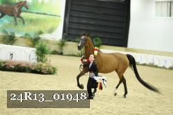 24R13_01948 thumbnail