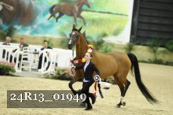 24R13_01949 thumbnail