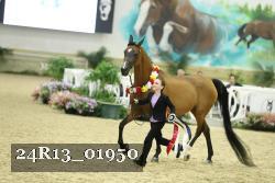 24R13_01950 thumbnail