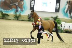 24R13_01951 thumbnail