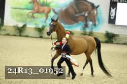24R13_01952 thumbnail