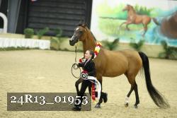24R13_01953 thumbnail