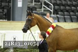 24R13_01954 thumbnail