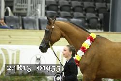 24R13_01955 thumbnail