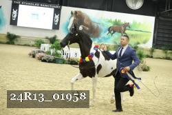 24R13_01958 thumbnail