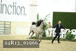 24R13_01966 thumbnail