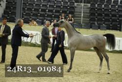 24R13_01984 thumbnail