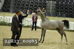 24R13_01985 thumbnail