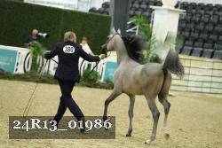 24R13_01986 thumbnail
