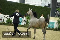 24R13_01987 thumbnail