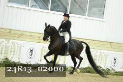 24R13_02000 thumbnail