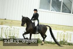 24R13_02001 thumbnail