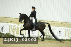 24R13_02002 thumbnail
