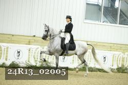 24R13_02005 thumbnail