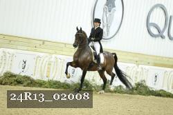 24R13_02008 thumbnail