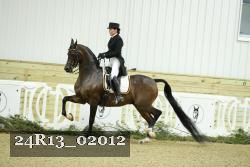 24R13_02012 thumbnail
