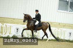 24R13_02013 thumbnail