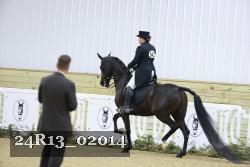 24R13_02014 thumbnail