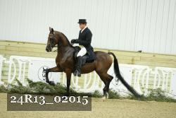 24R13_02015 thumbnail