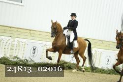 24R13_02016 thumbnail