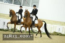 24R13_02017 thumbnail