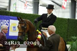 24R13_02049 thumbnail