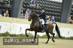 24R13_02063 thumbnail