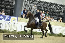 24R13_02064 thumbnail