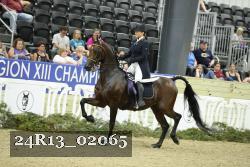 24R13_02065 thumbnail