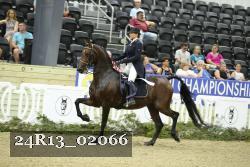 24R13_02066 thumbnail