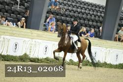 24R13_02068 thumbnail