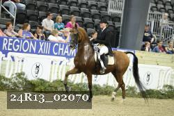 24R13_02070 thumbnail
