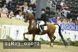 24R13_02072 thumbnail