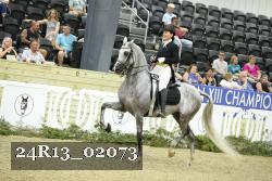 24R13_02073 thumbnail