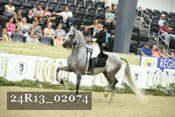 24R13_02074 thumbnail
