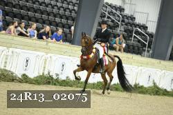 24R13_02075 thumbnail