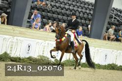 24R13_02076 thumbnail