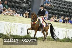 24R13_02077 thumbnail