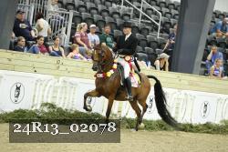 24R13_02078 thumbnail