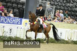 24R13_02079 thumbnail