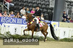24R13_02080 thumbnail