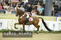 24R13_02082 thumbnail