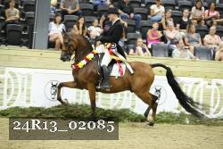 24R13_02085 thumbnail